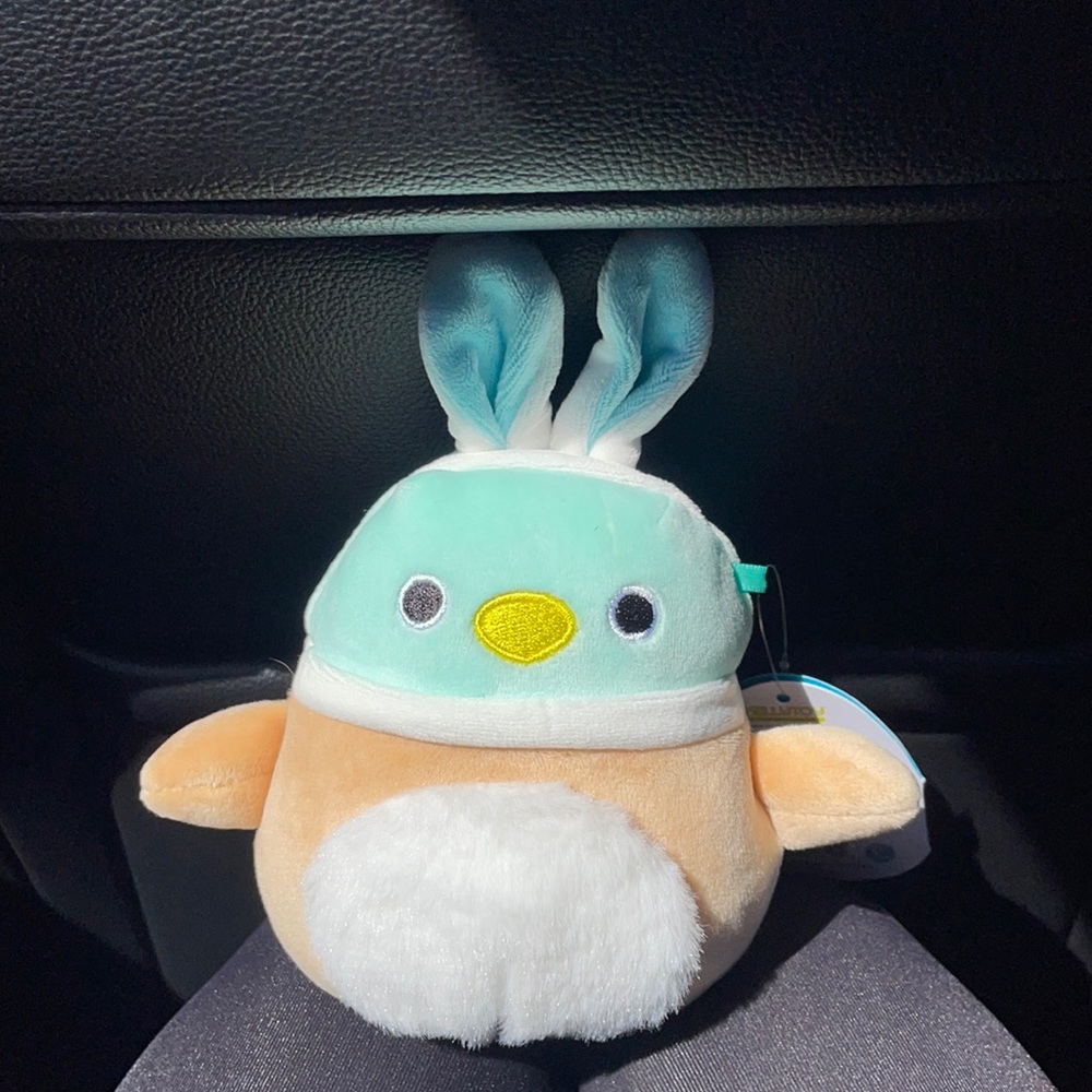 Avery the duck squishmallow